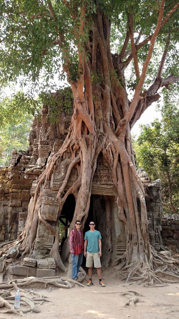 temple tree